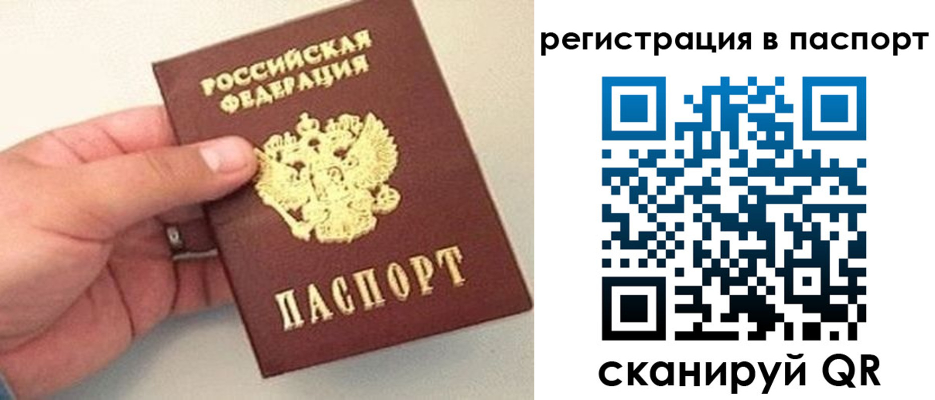 прописка законно в Псковской области